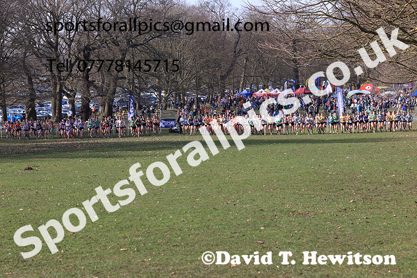 Women under-20s 2025 UK CAU Inter Counties Cross Country Champs., Wollaton Park, Nottingham. Photo: David T. Hewitson/Sports for All Pics